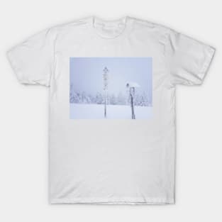 Frozen Trail Sign, Winter Hiking T-Shirt